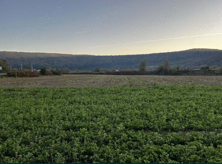Teren de 5800 mp, în Central