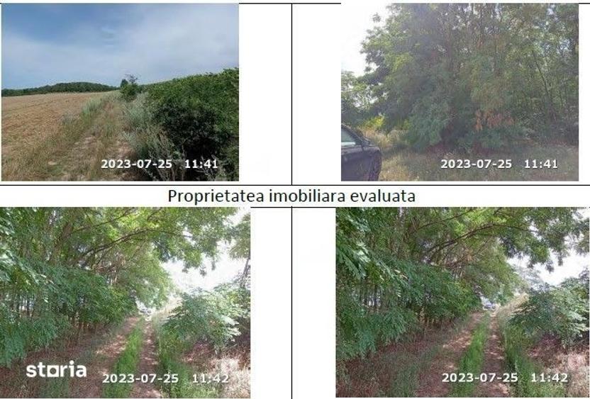 Teren de 35000 mp, în Horgești