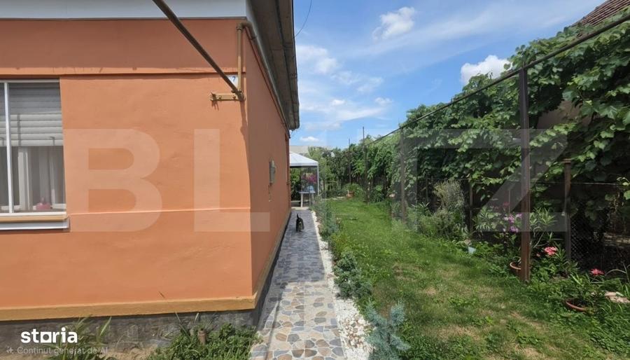 Casă cu 3 camere în Central