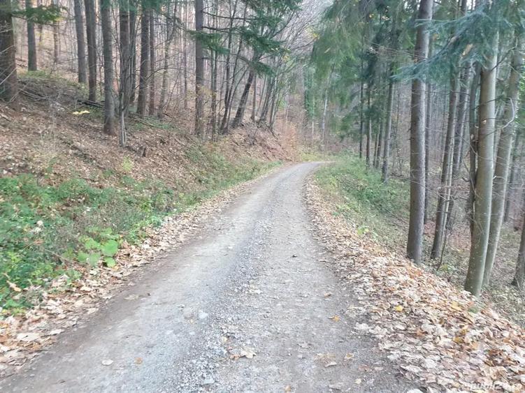 Teren de 1304 mp, în Central