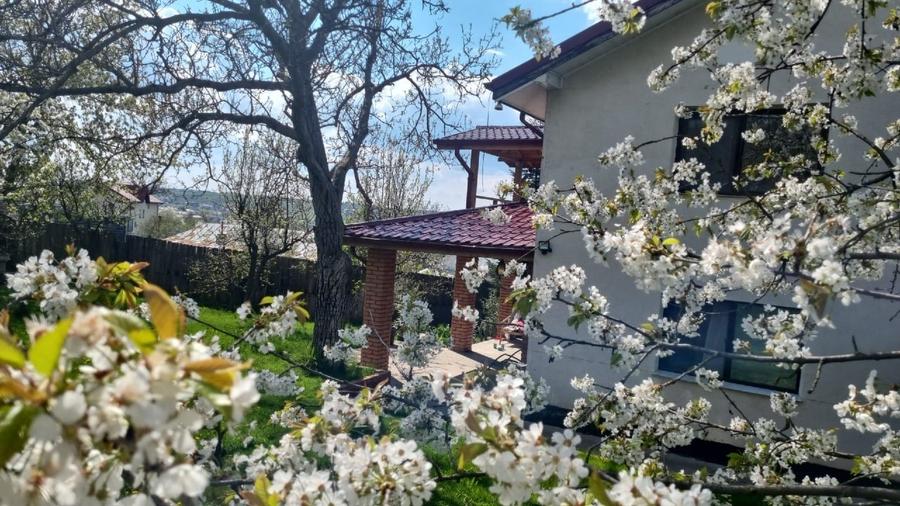 Casă individuală cu 4 camere cu Teren 1000 Mp în Bucium