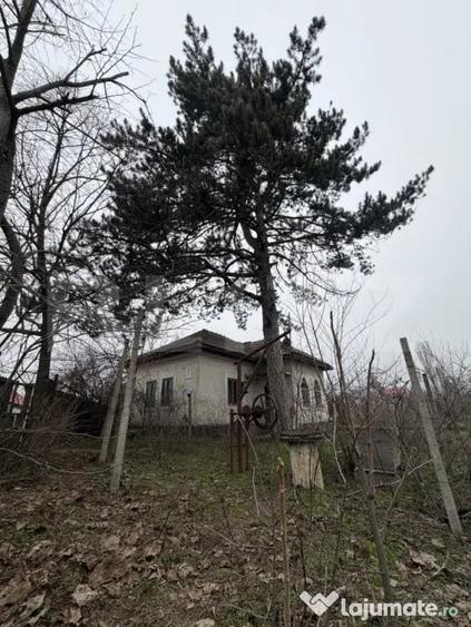 Casă cu 3 camere cu Teren 2714 Mp în Central