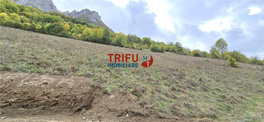 Teren intravilan de 15000 mp, în Râmeț