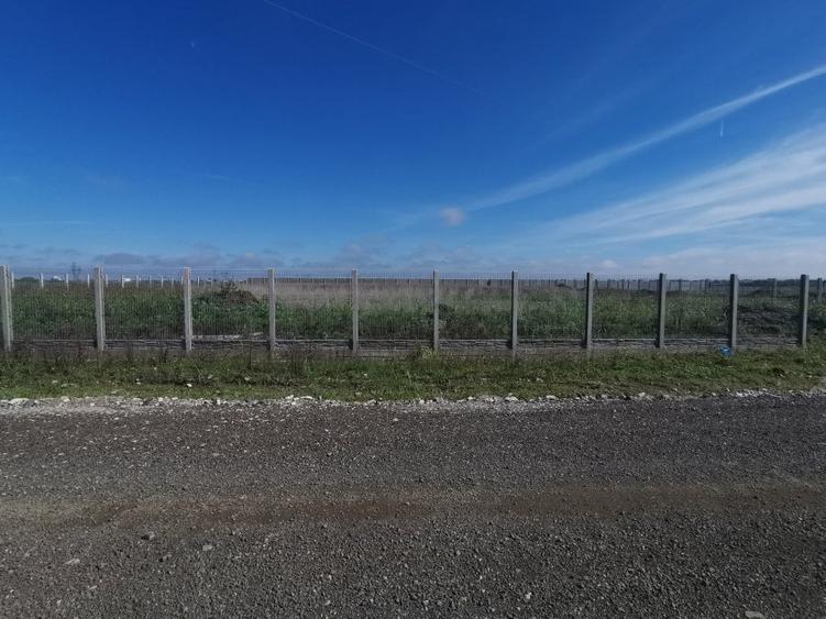 Teren Construcții intravilan de 1700 mp, în Dumbrăvița