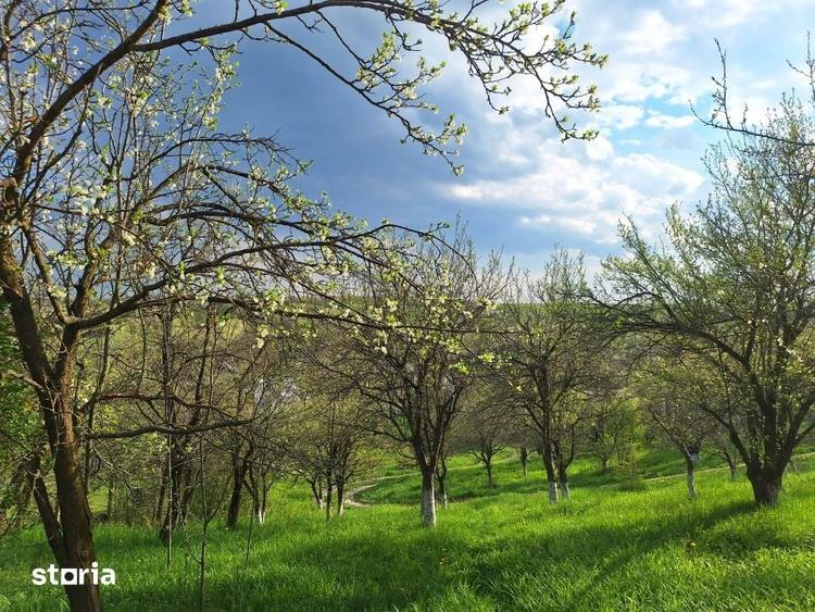 Casă cu 5 camere cu Teren 5950 Mp în Scorțeni