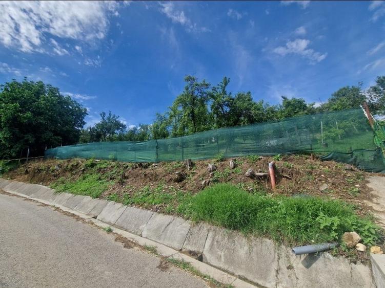 Teren Construcții intravilan de 1400 mp, în Albota