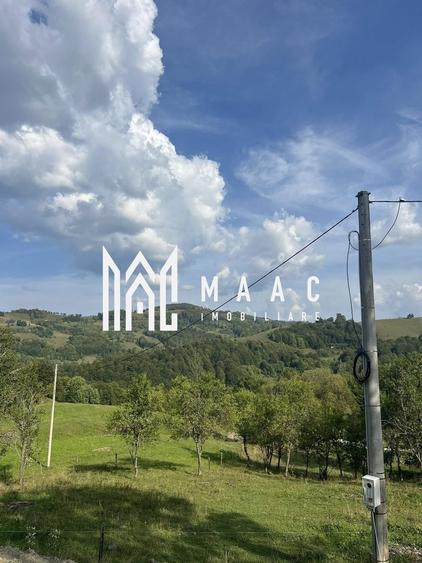 Teren Construcții intravilan de 14242 mp, în Sohodol