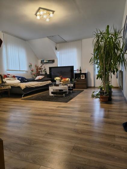 Casă cu 4 camere în Sânandrei