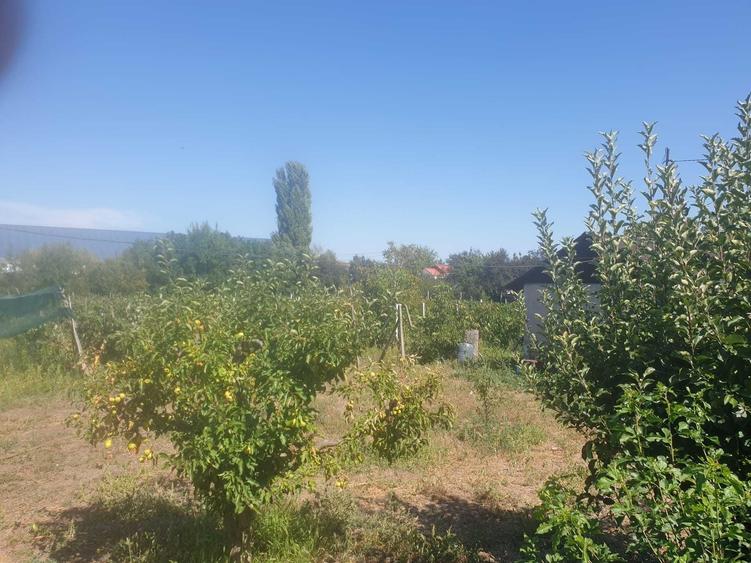 Teren de 3000 mp, în Hanu Conachi