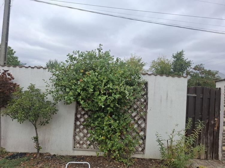 Casă cu 3 camere în Bujac