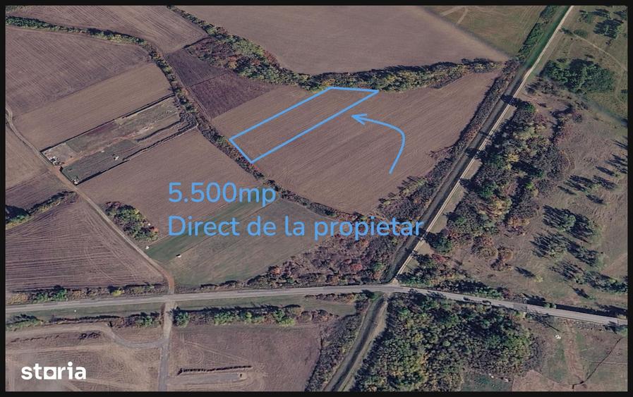 Teren de 5500 mp, în Moșnița Nouă