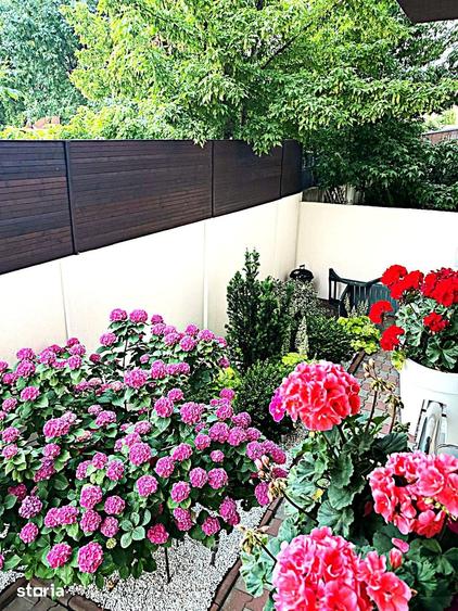 Apartament cu 4 camere în Drumul Taberei