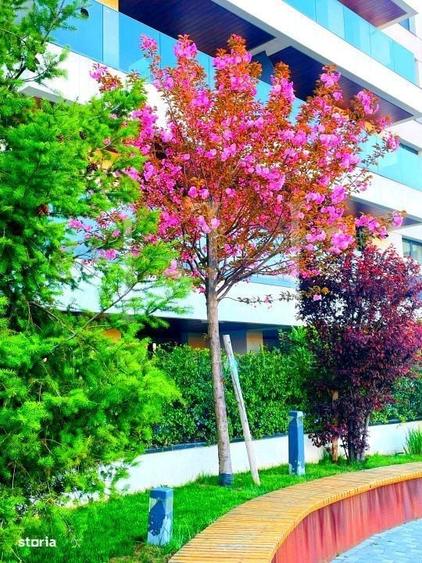 Apartament cu 3 camere în Aviației