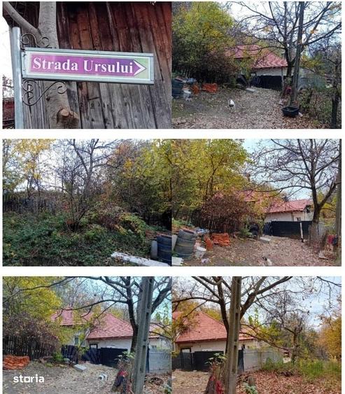 Casă cu 2 camere în Dobriceni