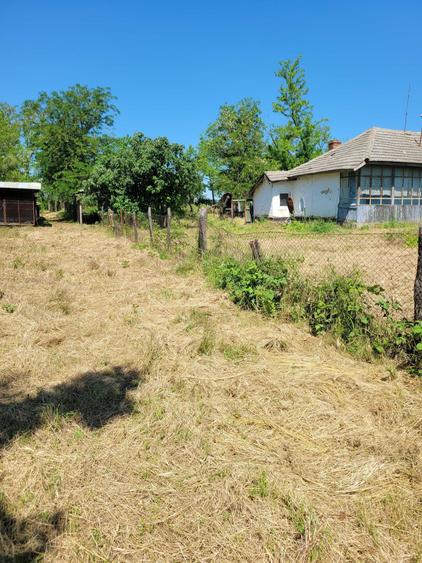 Teren de 2300 mp, în Livada