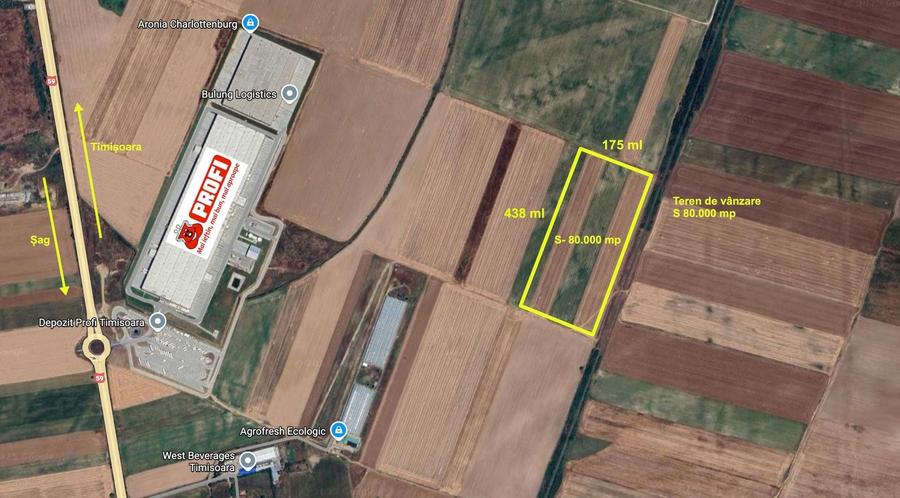 Teren agricol extravilan de 80000 mp, în Șag