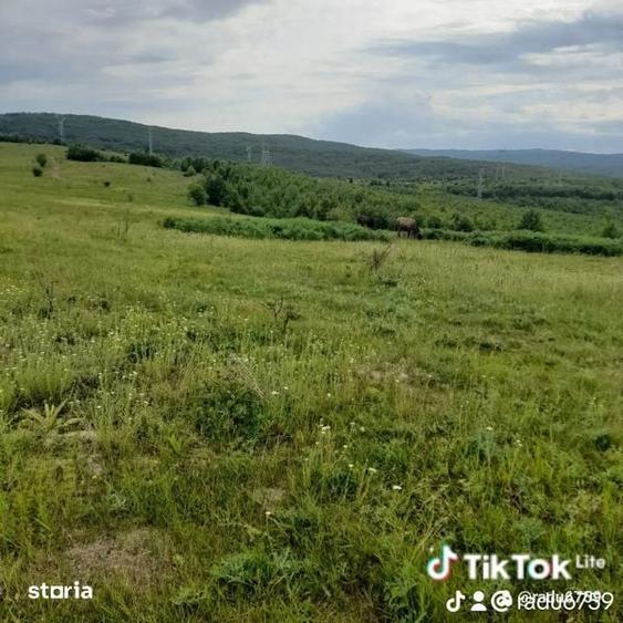 Teren de 100000 mp, în Central