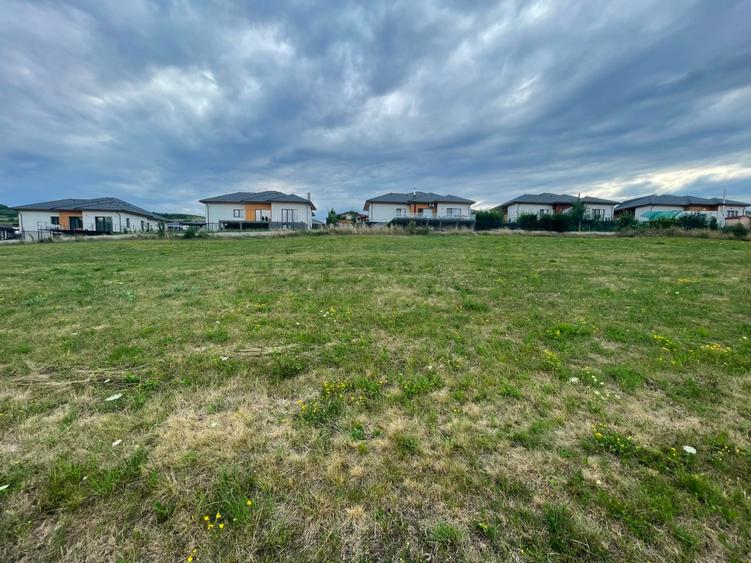 Teren Construcții intravilan de 5800 mp, în Baciu