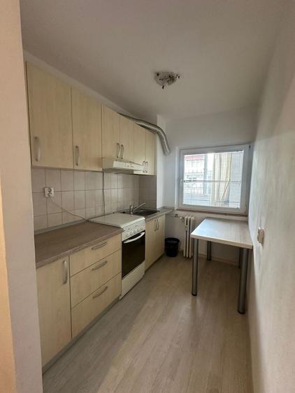 Apartament cu o camera de inchiriat Nufarul - 4