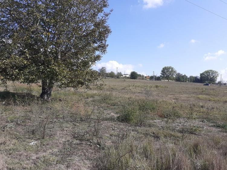 Teren Construcții intravilan de 3269 mp, în Central