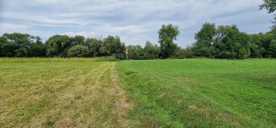 Teren de 5100 mp, în Horodnic