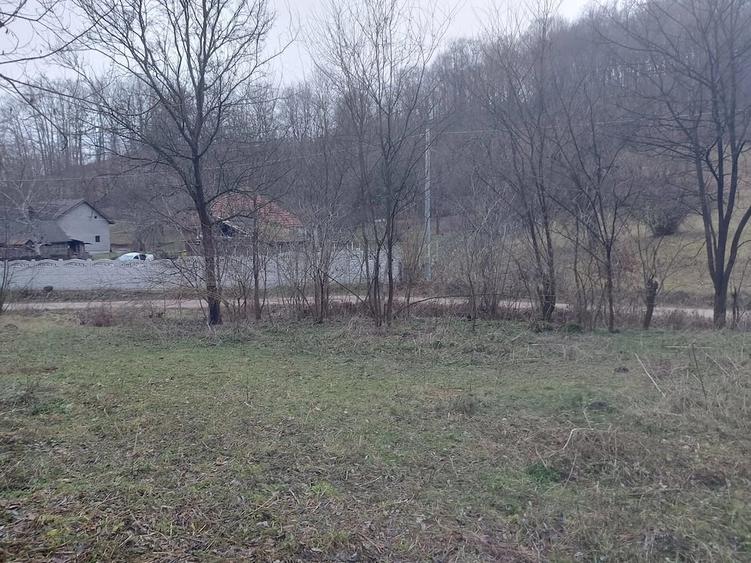 Teren de 8800 mp, în Nojag