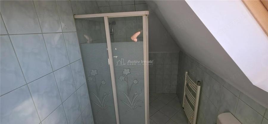 Casă cu Teren 1219 Mp în Bucovăț (Remetea Mare)