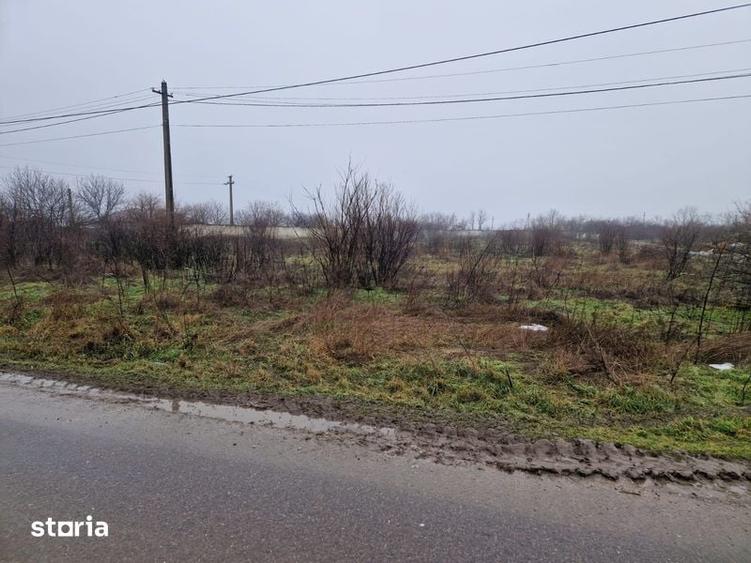 Teren de 13000 mp, în Frăsinet