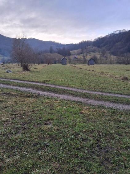 Teren de 2600 mp, în Leordina