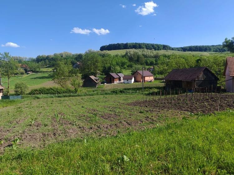 Casă cu 2 camere în Central
