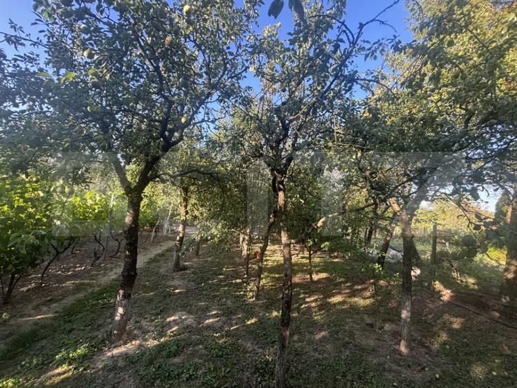 Casă cu 2 camere cu Teren 1021 Mp în Viile Satu Mare