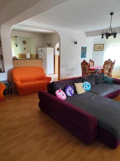 Vila 380 mp Provita de Jos - 7