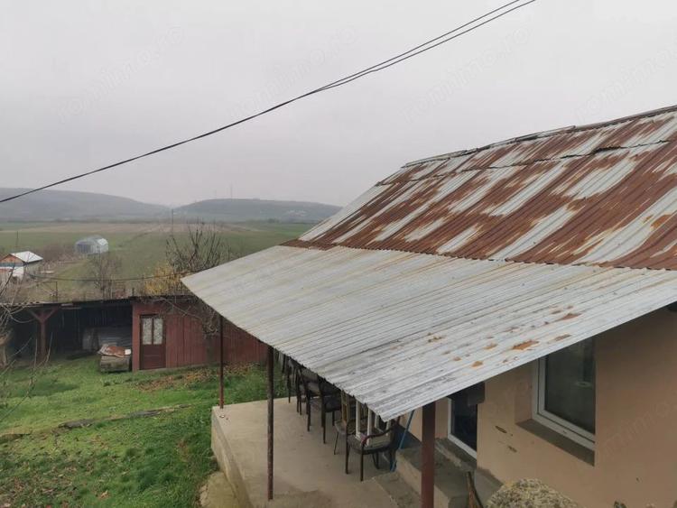 Casă cu 4 camere cu Teren 7000 Mp în Argetoaia