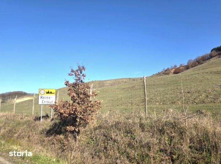 Teren de 5281 mp, în Recea-Cristur