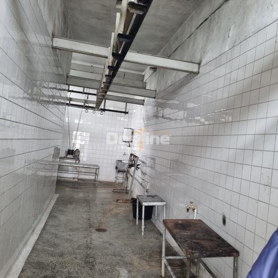 Proprietate specială, de 771 mp, în Jegălia