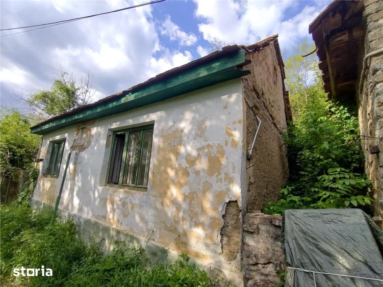 Sasca Montana | Oportunitate | Casa cu 230 MP Teren - 2