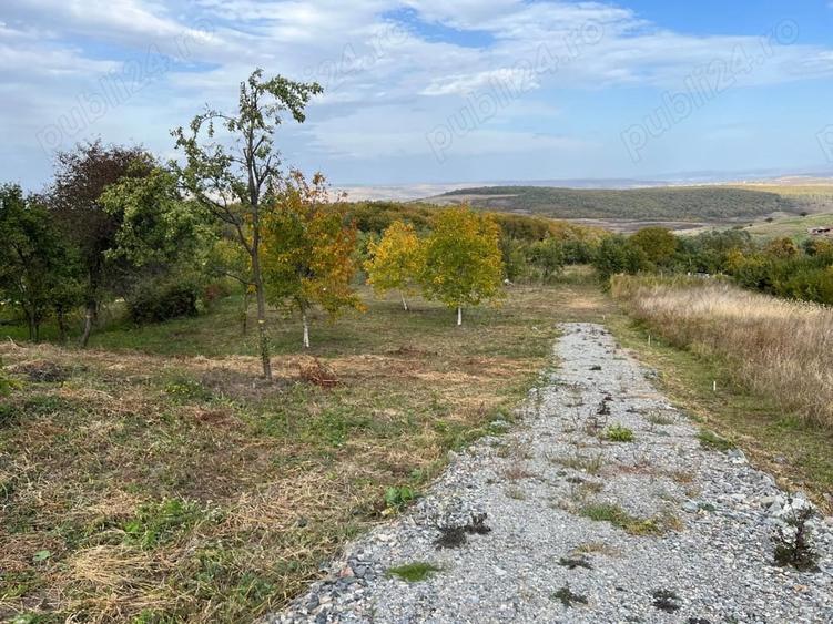 Teren de 3744 mp, în Gheorghieni