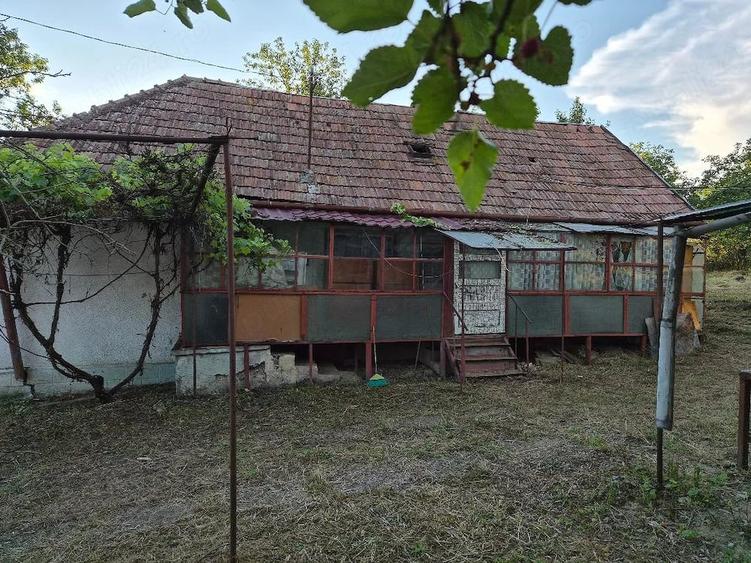 Casă cu Teren 800 Mp în Dăbâca