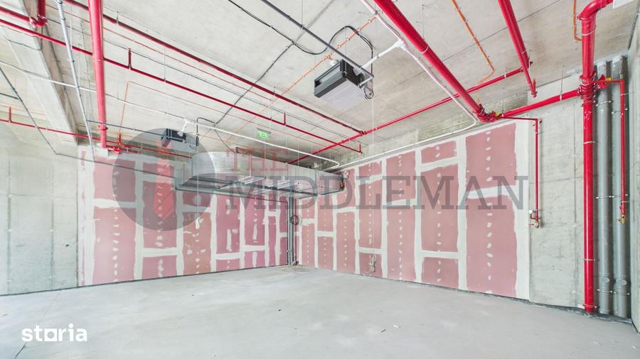 Spa?iu cu terasa generoasa 124 mp | Parter business hub Cotroceni - 9