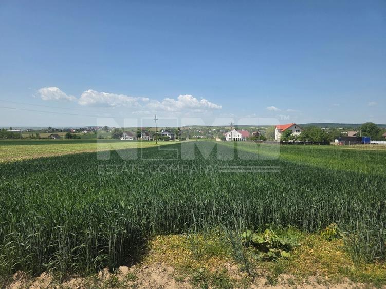 Teren agricol extravilan de 2600 mp, în Mitocu Dragomirnei