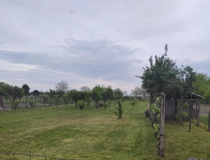 Teren de 1900 mp, în Rovinița Mare