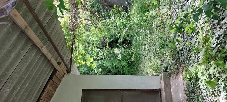 Casa si teren Murighiol - 1