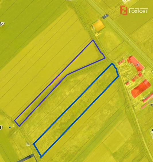 Teren agricol extravilan de 36288 mp, în Lugoj