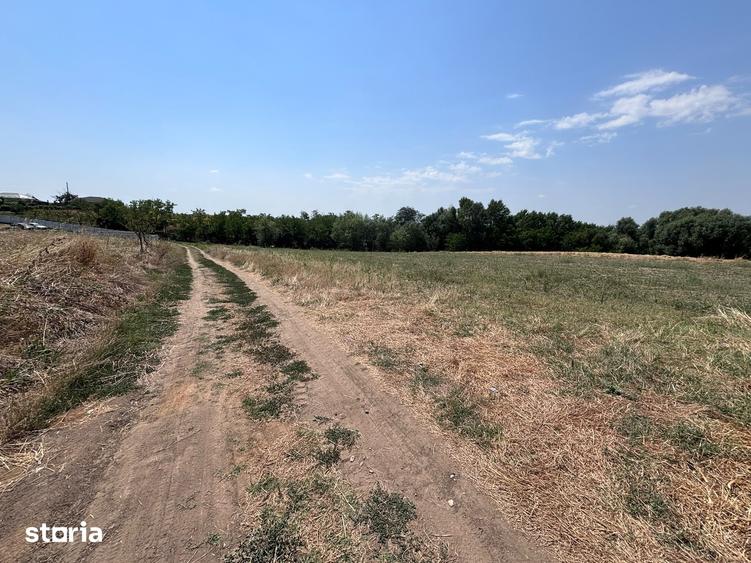 Teren de 2220 mp, în Coșoveni