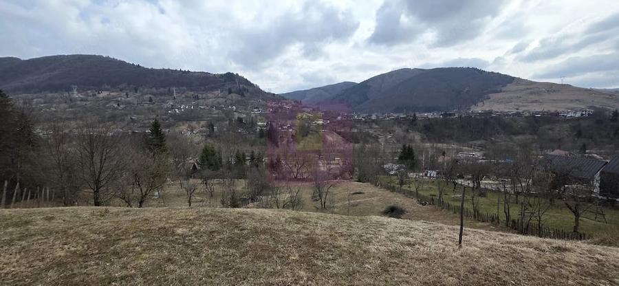 Teren de 2500 mp, în Valea Doftanei