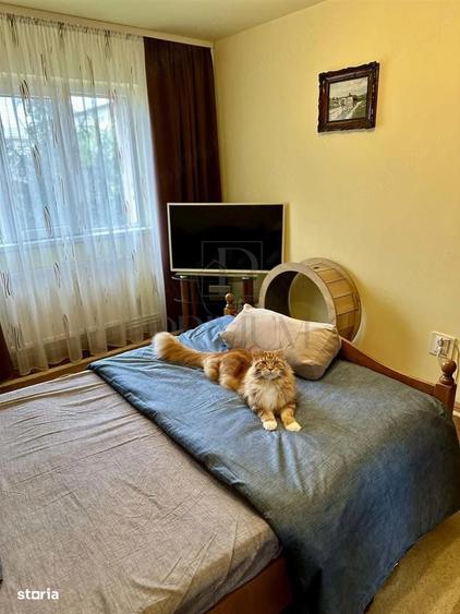 Apartament cu 3 camere decomandat, mobilat în Șagului — fotografia 1