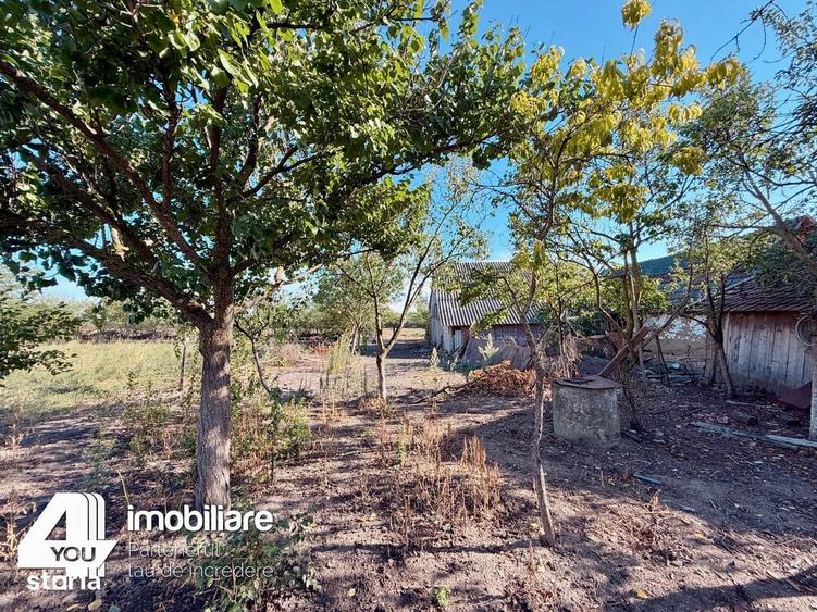 Casă cu 3 camere cu Teren 2880 Mp în Sintea Mare