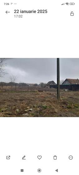 Teren în Șicula