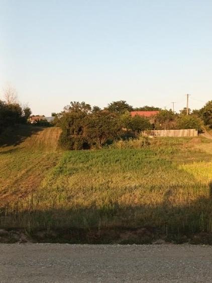 Casă individuală cu 3 camere cu Teren 1736 Mp în Martalogi