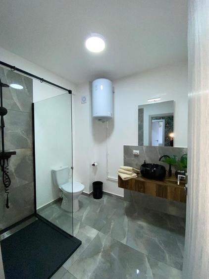 Apartament cu 2 camere în Băile Felix